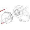 KV221X Screw kit cover dry �N���b�` Ducati - TITANIUM Titanium CNC Racing (�V�[�G�k�V�[���[�V���O) 64829898