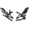 LighTech / ライテック Adjustable Rear Sets With Fold Up Foot Pegs ， Reverse Shifting | FTRKA009W
