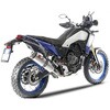 ZY101SSO XeX XbvI ZARD (U[h) 64931486
