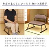 ERCL-800~2pcs 炭炭֎q~2rZbg AIS (GCEACEGX) 64959356