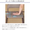ERCL-800~2pcs 炭炭֎q~2rZbg AIS (GCEACEGX) 64959356