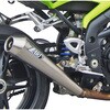 ZTPH031TSR `^ [VO XbvI TRIUMPH SPEED TRIPLE 1050 (2005-2006) ZARD (U[h) 64980127
