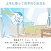 YLT-AG30E(BG) 扇風機 左右首振り 風量3段階 押しボタン 切りタイマー 静音 YAMAZEN(山善) 65022327