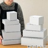 MSG-GB11 nVo[O[Mtg{bNX HEADS(wbY) 65024007