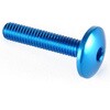 LighTech (ライテック) BUTTON HEAD ERGAL CL 002 M4 L. 30 | 002M4030