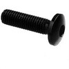 LighTech (ライテック) BUTTON HEAD ERGAL CL 002 M4 L. 40 | 002M4040