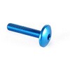 LighTech (ライテック) BUTTON HEAD ERGAL CL 003 M5 L. 30 | 003M5030