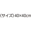 65052446