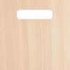 PM-K60MPL-NA-MOR tbV`FA pbhtELX^[r^Cv TOKIO(H) 65070095