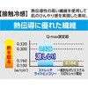 D-7102 Cg Xgb`qbR[ ciM Dickies(fBbL[Y) 65111088