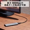 GM-U2CAC20BK USBP[u 2.0 ^CvC USB-A PS5Ή Rg[[[d RoHSwߏ(10) ubN GR 65123364