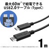 GM-U2CCC10BK USBP[u 2.0 ^CvC USB-C PS5Ή PDΉ Rg[[[d RoHSwߏ(10) ubN GR 65123398