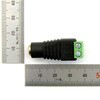 65150026