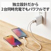 EC-AC03WH 充電器 USB コンセント 合計24W 2ポート USB-A 折りたたみ式プラグ 2台同時充電 エレコム 65205788
