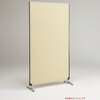 ZIPLINK2 p[eBV
