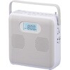 RCR-600Z-H XeICDWI AM/FM ChFMΉ CgO[ RpNg 2d I[d@ 65301008