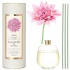 AROMA DIFFUSER DAHLIA 450 PK/BKBERRY(アロマディフューザーダリア) 和気産業
