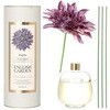AROMA DIFFUSER DAHLIA 450 PL/ENGLISH(アロマディフューザーダリア) 和気産業