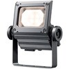 ECF3050SW/LSAN8/DG LEDioc FLOOD NEO (���f�B�I�b�N �t���b�h �l�I) 30�N���X ���L�p�^�C�v ���d�C 65315665