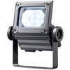 ECF3050SW/DSAN8/DG LEDioc FLOOD NEO (���f�B�I�b�N �t���b�h �l�I) 30�N���X ���L�p�^�C�v ���d�C 65315751
