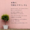 sikku-gai-15color-4kg 外壁用練り漆喰プレミアム 4kg PROST's 65318630