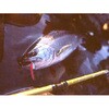 OGC sA 2.7g X~X(SMITH LTD.) 65326128