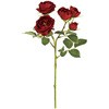 FM009087-007 _[Y MAGIQ() 65346603