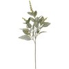 FG002044 ナチュレフラワーミント MAGIQ(東京堂) 65348983