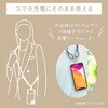 SMT-LSCL15N-H USB-C to USB-C `[WOXgbv 60W 1.5m O[ I[d@ 65431987