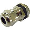 M1205BR ^ P[uOh fJGNg 65501153