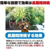 194071   V[g^Cv ʂ ^}nV 65517360
