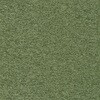 65578006