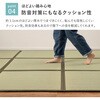160900110 ߂A q 6  65584840
