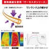 JW-231 BTT[G{ I[pC\bNX  2g ӂ 65599707