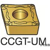 CCGT060204