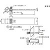 xǎt