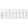 CJ2500-1-3L N[hEFA(N[cC) AhN[ 65671247