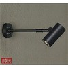DOL-4019YB �A�E�g�h�A�X�|�b�g DAIKO(����d�@) 65937987