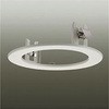 DP-37453 リニューアルプレート DAIKO(大光電機) 65940516