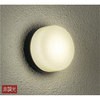 DWP-37267 �A�E�g�h�A���C�g DAIKO(����d�@) 65949948