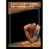 Pマジカルボード 天然酵母 無添加パン P・O・Pプロダクツ
