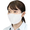 51814 アーテッククールマスク 大人用フリーサイズ 2枚入 アーテック[学校教材・教育玩具] 65996203