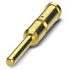 ピン・ソケットコンタクト オス サイズ：2mm 圧着端子 1袋 50個入 フエニックス・コンタクト