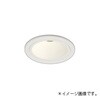 OD361755BR ハイコーン ダウンライト ODELIC(オーデリック) 66051548