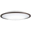 OL291319GR GAMMA PLUS シーリングライト 高演色LED R15クラス2 ODELIC(オーデリック) 66057455
