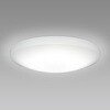 SLDC12859SG LED�V�[�����O���C�g HotaluX(�z�^���N�X) 66259500