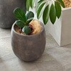 E001-BA300WHT 「GRITTE」 グリッテ 石調FRPプランター (ドロップ型) 住まいスタイル 66284106