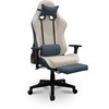 0035722 �e�B�O�� �Q�[�~���O�`�F�A �T���R�E 66287078