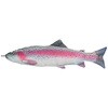 FISHES RAINBOW TROUT (フィッシーズレインボートラウト) ダルトン
