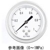 グリセリン入圧力計(60Φ) GV55-173シリーズ 長野計器